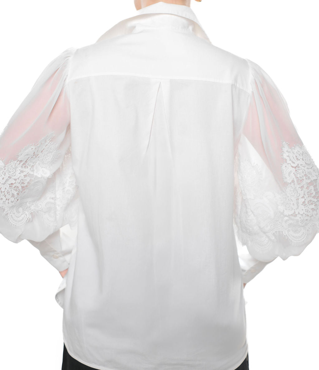 Sheer Lace Sleeve